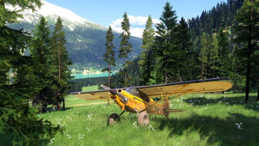 A stationary propeller plane on grass among some coniferous trees. A lake and snow-capped mountain are in the distance.