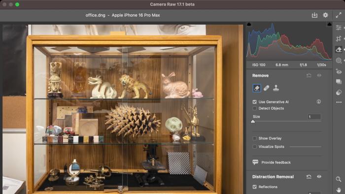 The Reflection Removal tool in Adobe's Camera RAW plug-in being used to edit a photo of a glass cabinet.