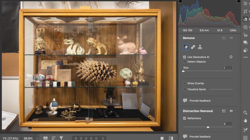 The Reflection Removal tool in Adobe's Camera RAW plug-in being used to edit a photo of a glass cabinet.